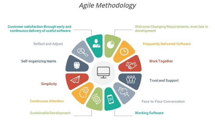 Healthcare professional using the SP Clinic Management System
